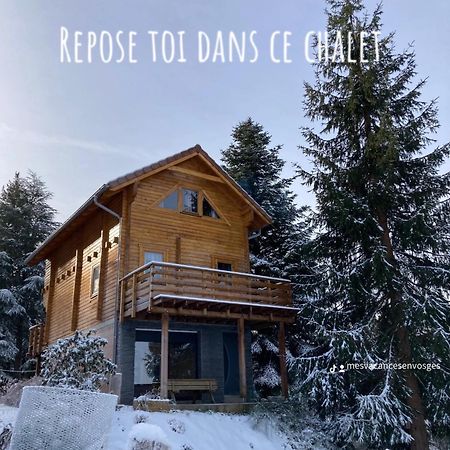 Chalet Chaleureux Avec Cheminee Et Vue Montagne Proche Gerardmer "Mon Beau Sapin" Villa Anould Dış mekan fotoğraf