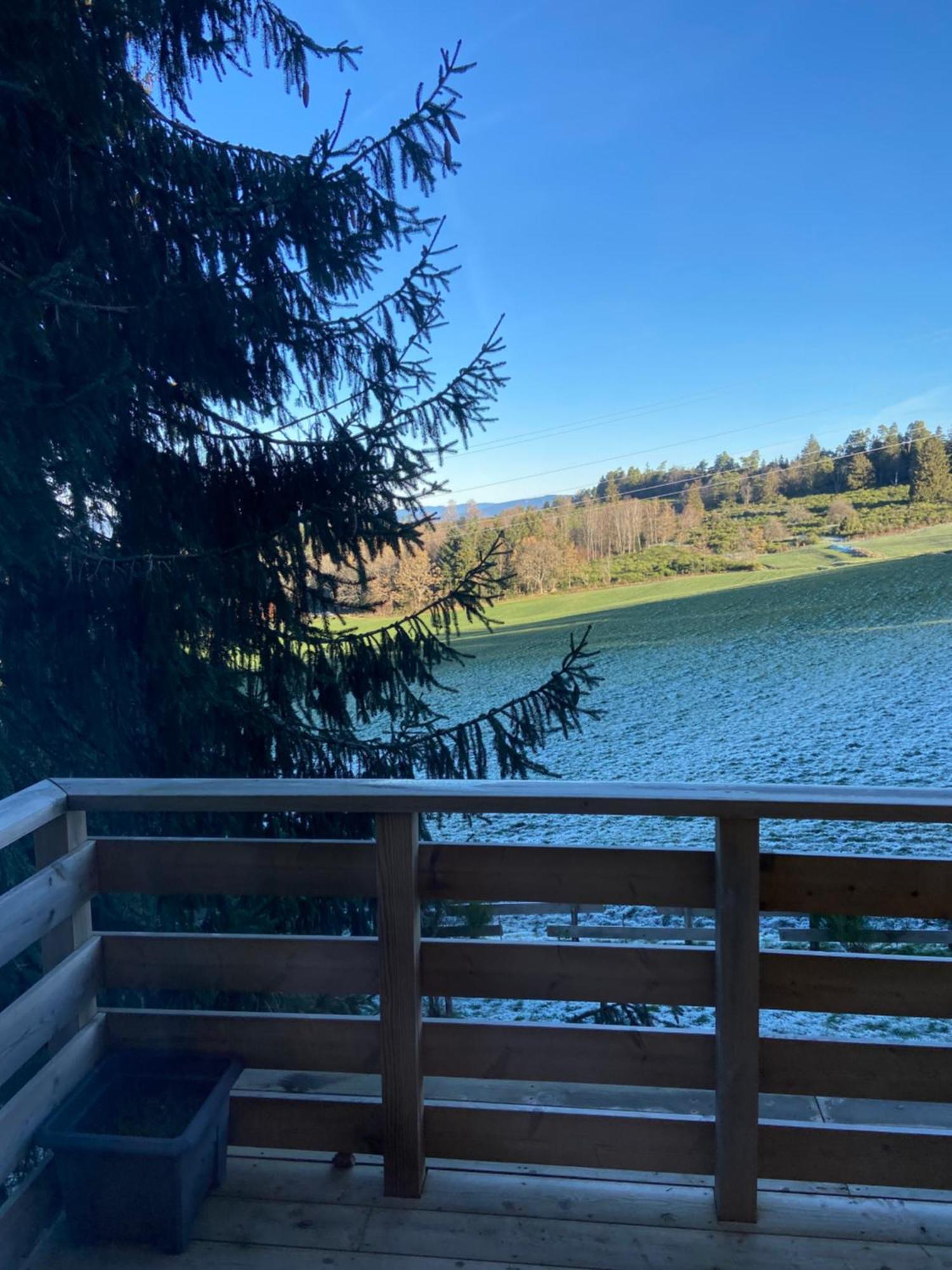 Chalet Chaleureux Avec Cheminee Et Vue Montagne Proche Gerardmer "Mon Beau Sapin" Villa Anould Dış mekan fotoğraf