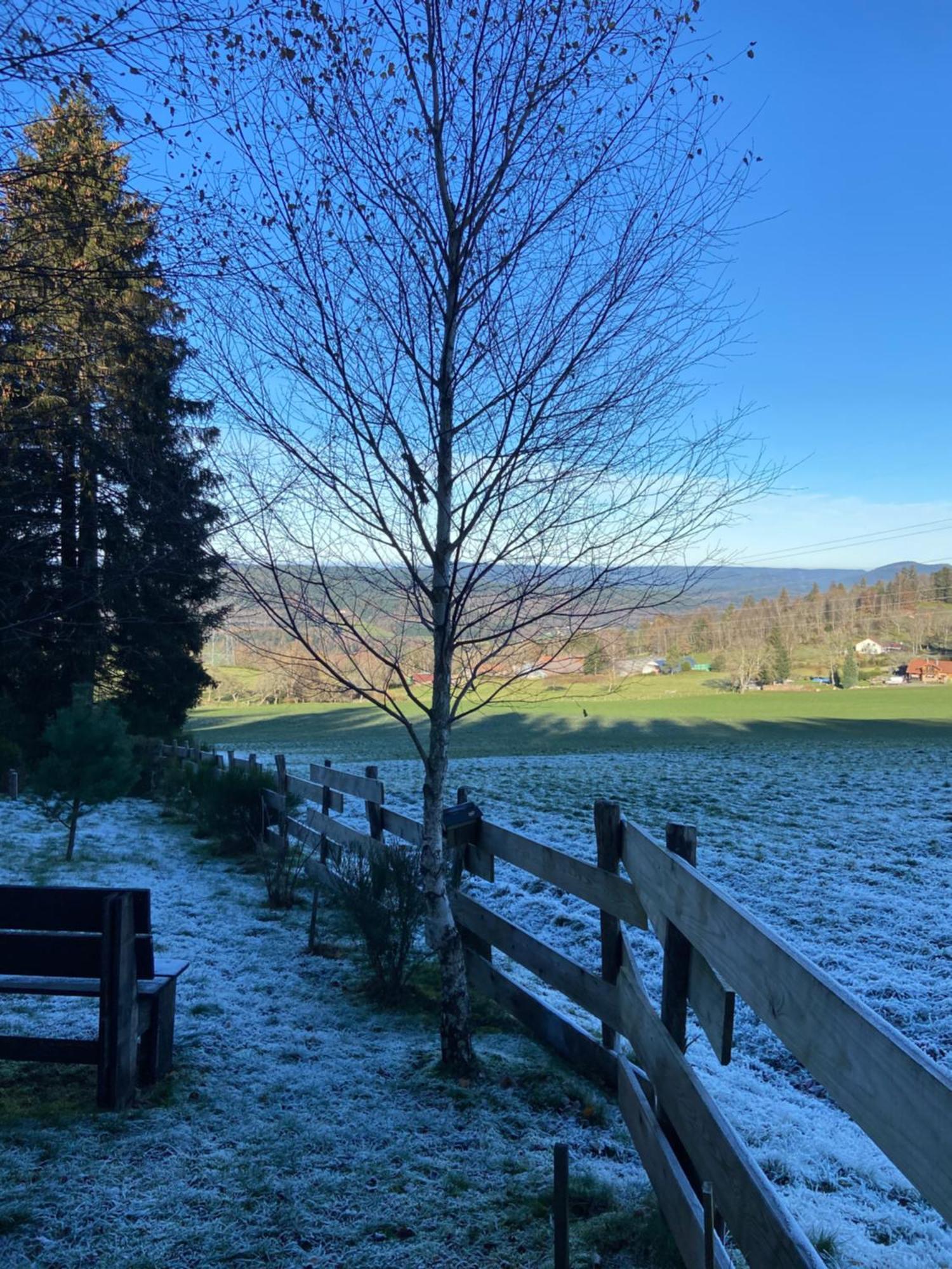 Chalet Authentique Au Calme, En Lisiere De Foret, Montagne, Sentiers 15Mn Gerardmer & Alsace "Chalet Mon Beau Sapin" Anould Dış mekan fotoğraf