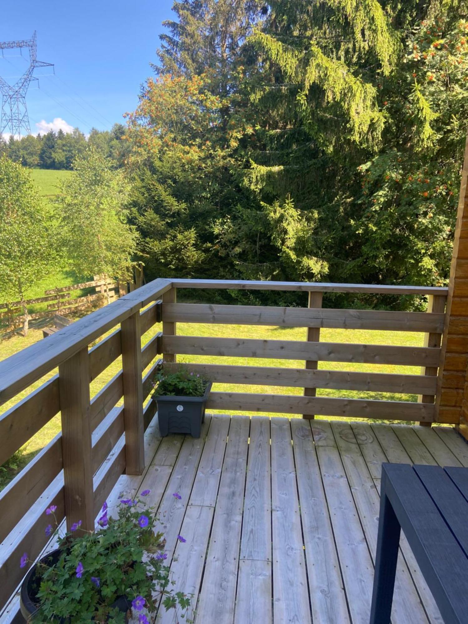 Chalet Chaleureux Avec Cheminee Et Vue Montagne Proche Gerardmer "Mon Beau Sapin" Villa Anould Dış mekan fotoğraf