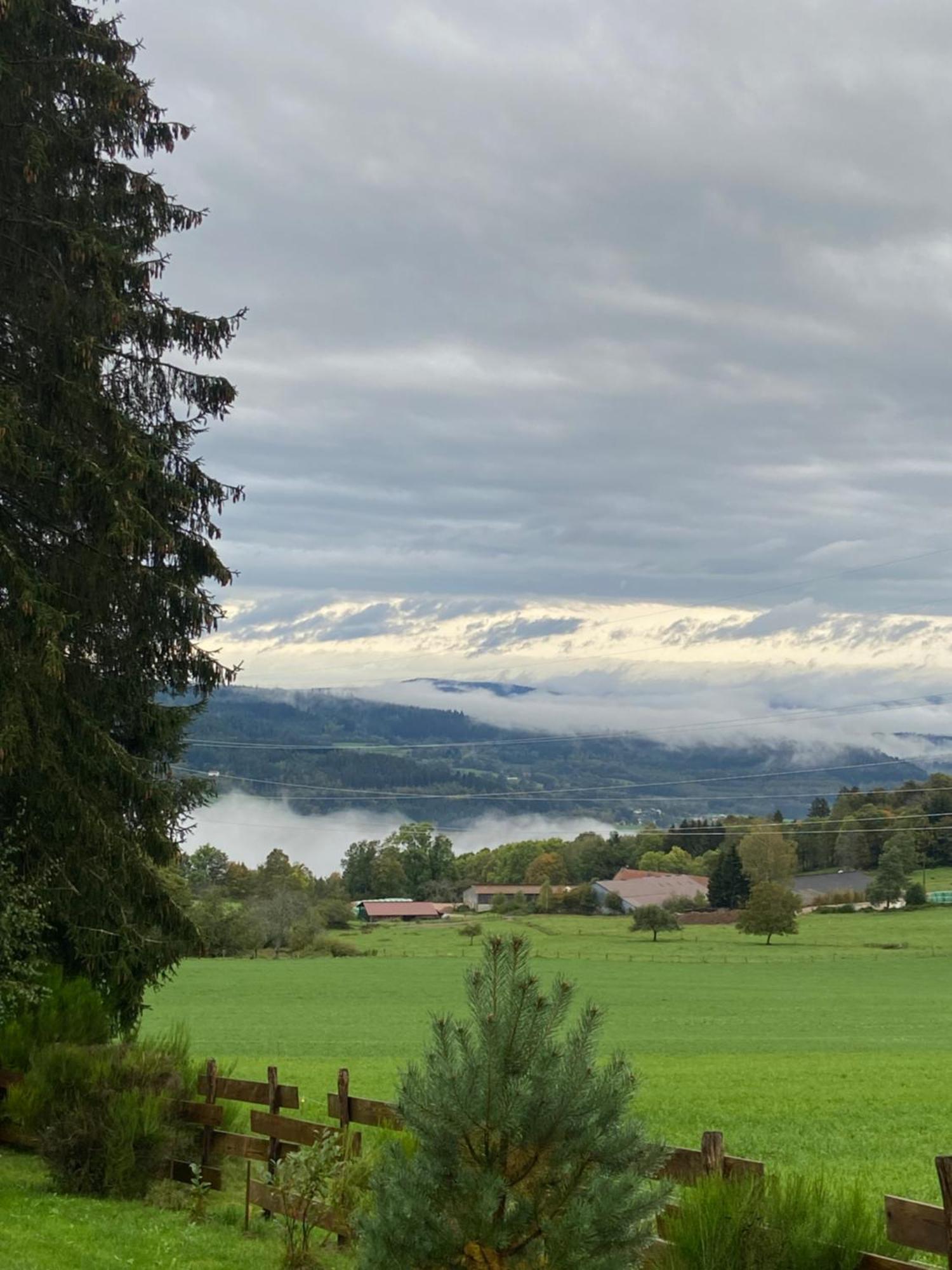 Chalet Authentique Au Calme, En Lisiere De Foret, Montagne, Sentiers 15Mn Gerardmer & Alsace "Chalet Mon Beau Sapin" Anould Dış mekan fotoğraf