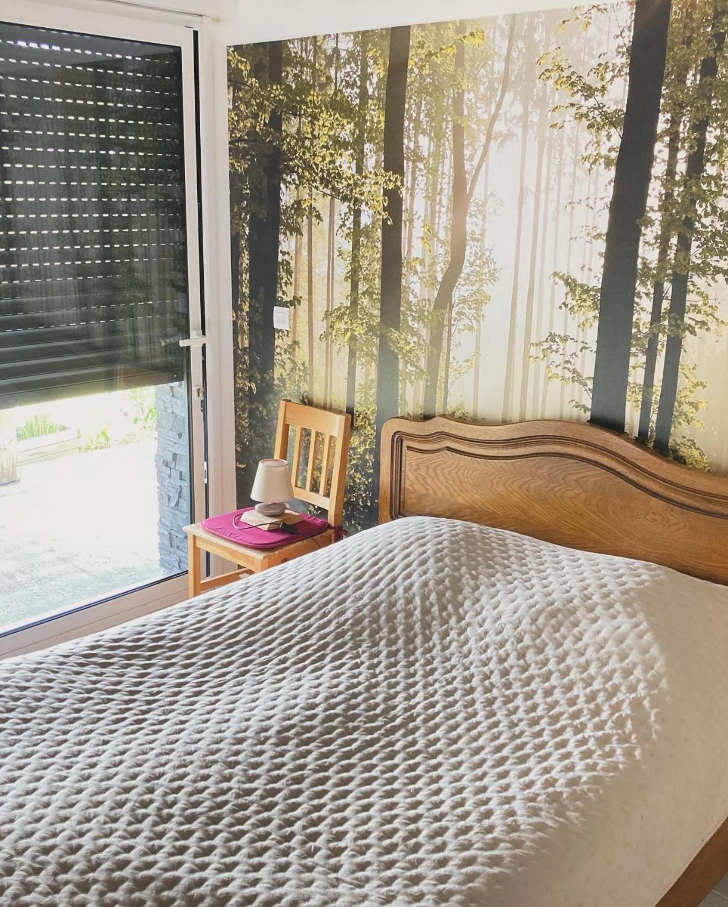 Chalet Authentique Au Calme, En Lisiere De Foret, Montagne, Sentiers 15Mn Gerardmer & Alsace "Chalet Mon Beau Sapin" Anould Dış mekan fotoğraf