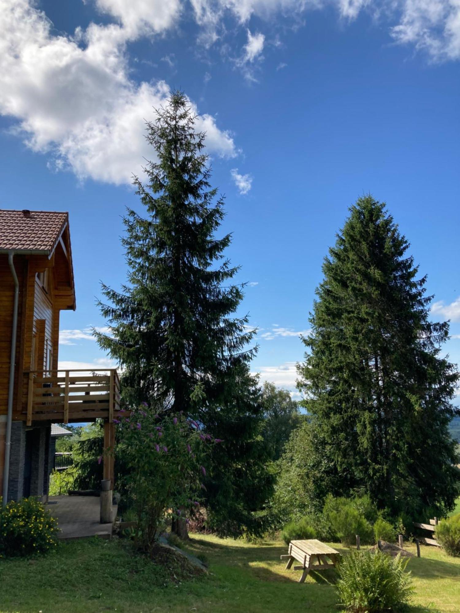 Chalet Chaleureux Avec Cheminee Et Vue Montagne Proche Gerardmer "Mon Beau Sapin" Villa Anould Dış mekan fotoğraf