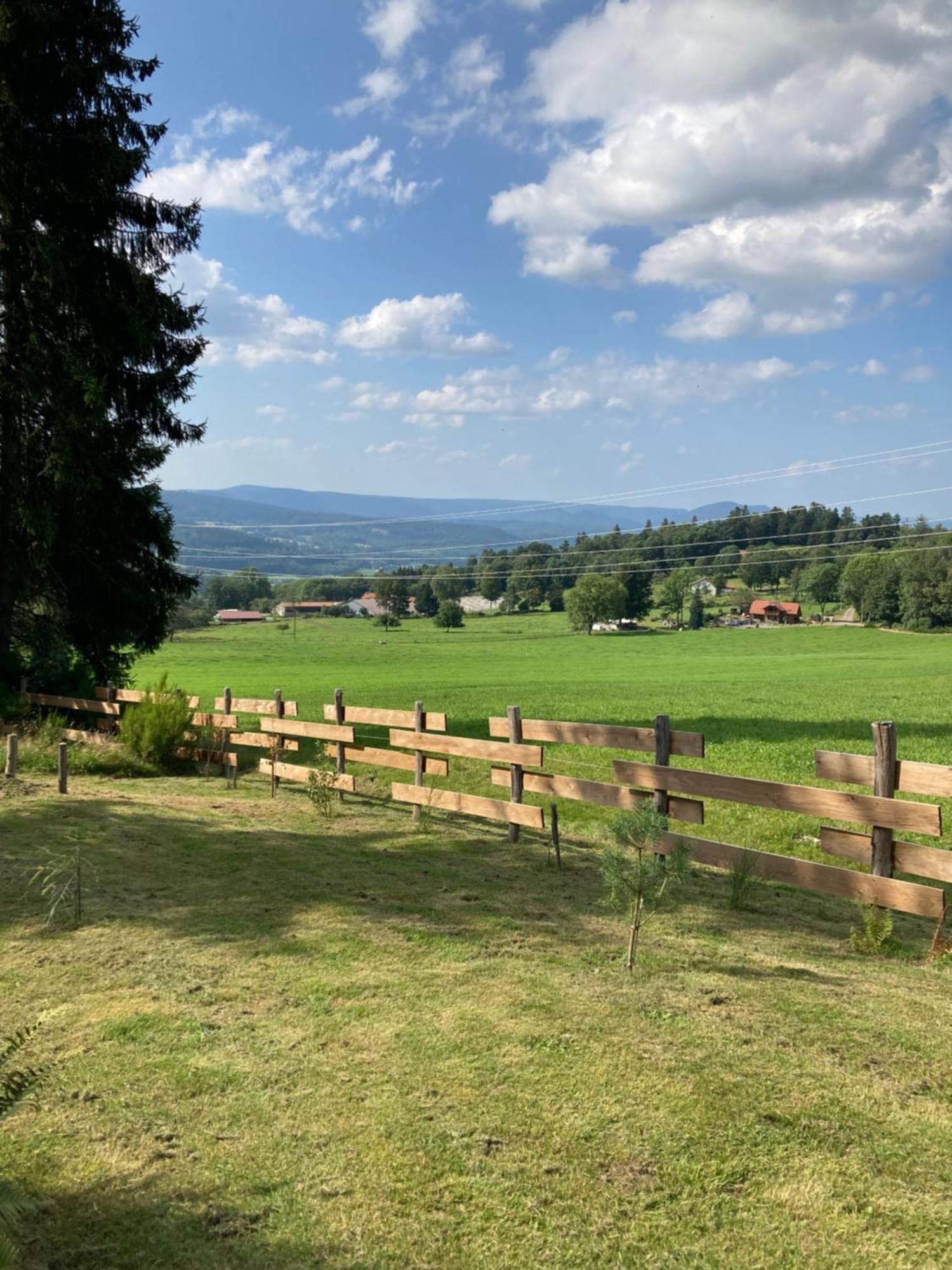 Chalet Authentique Au Calme, En Lisiere De Foret, Montagne, Sentiers 15Mn Gerardmer & Alsace "Chalet Mon Beau Sapin" Anould Dış mekan fotoğraf