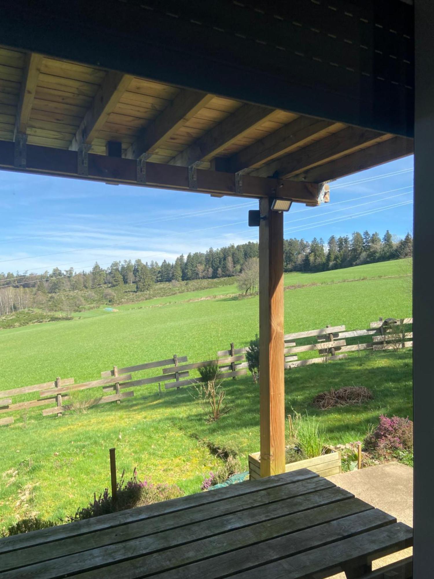 Chalet Chaleureux Avec Cheminee Et Vue Montagne Proche Gerardmer "Mon Beau Sapin" Villa Anould Dış mekan fotoğraf