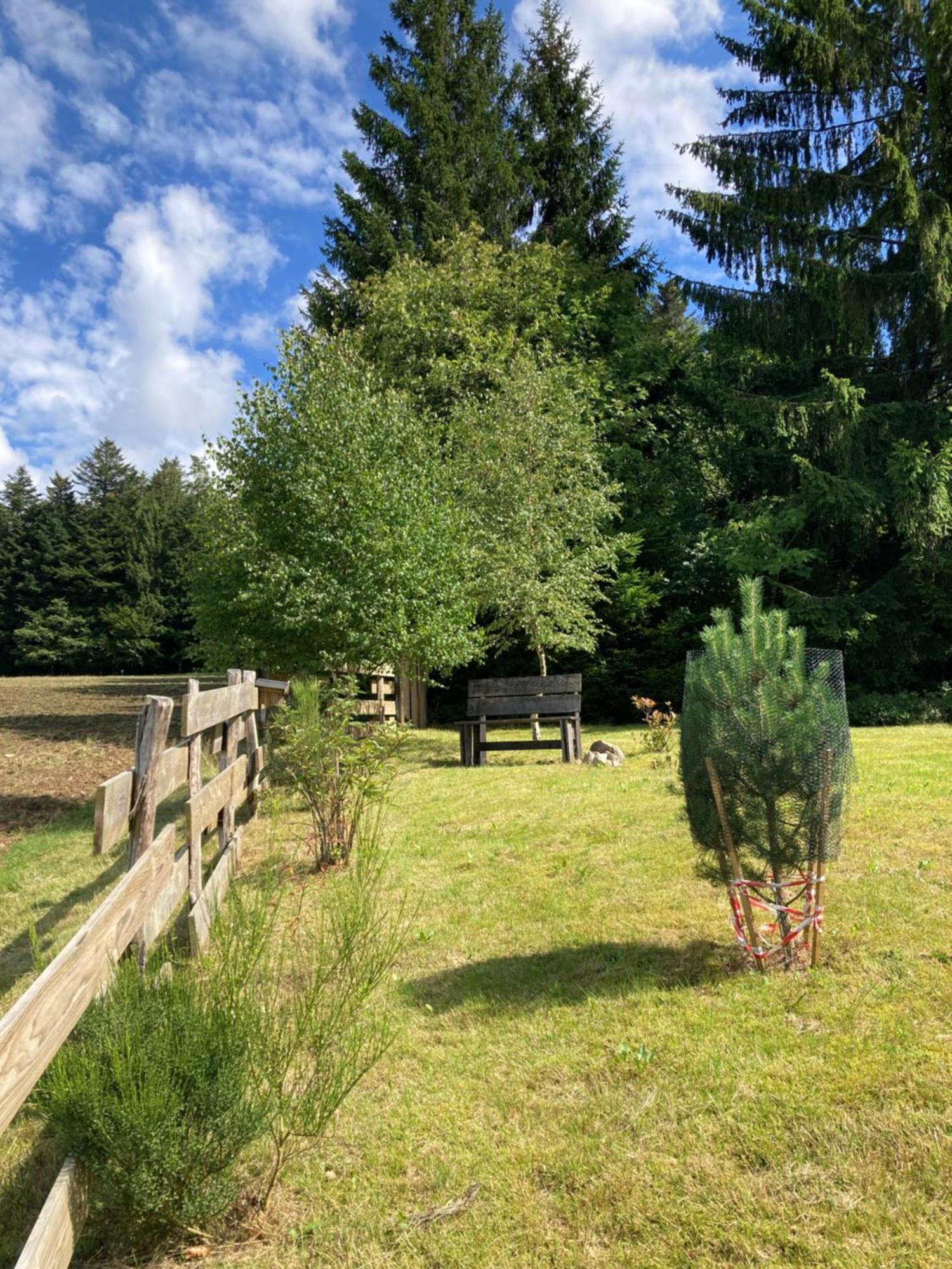 Chalet Authentique Au Calme, En Lisiere De Foret, Montagne, Sentiers 15Mn Gerardmer & Alsace "Chalet Mon Beau Sapin" Anould Dış mekan fotoğraf