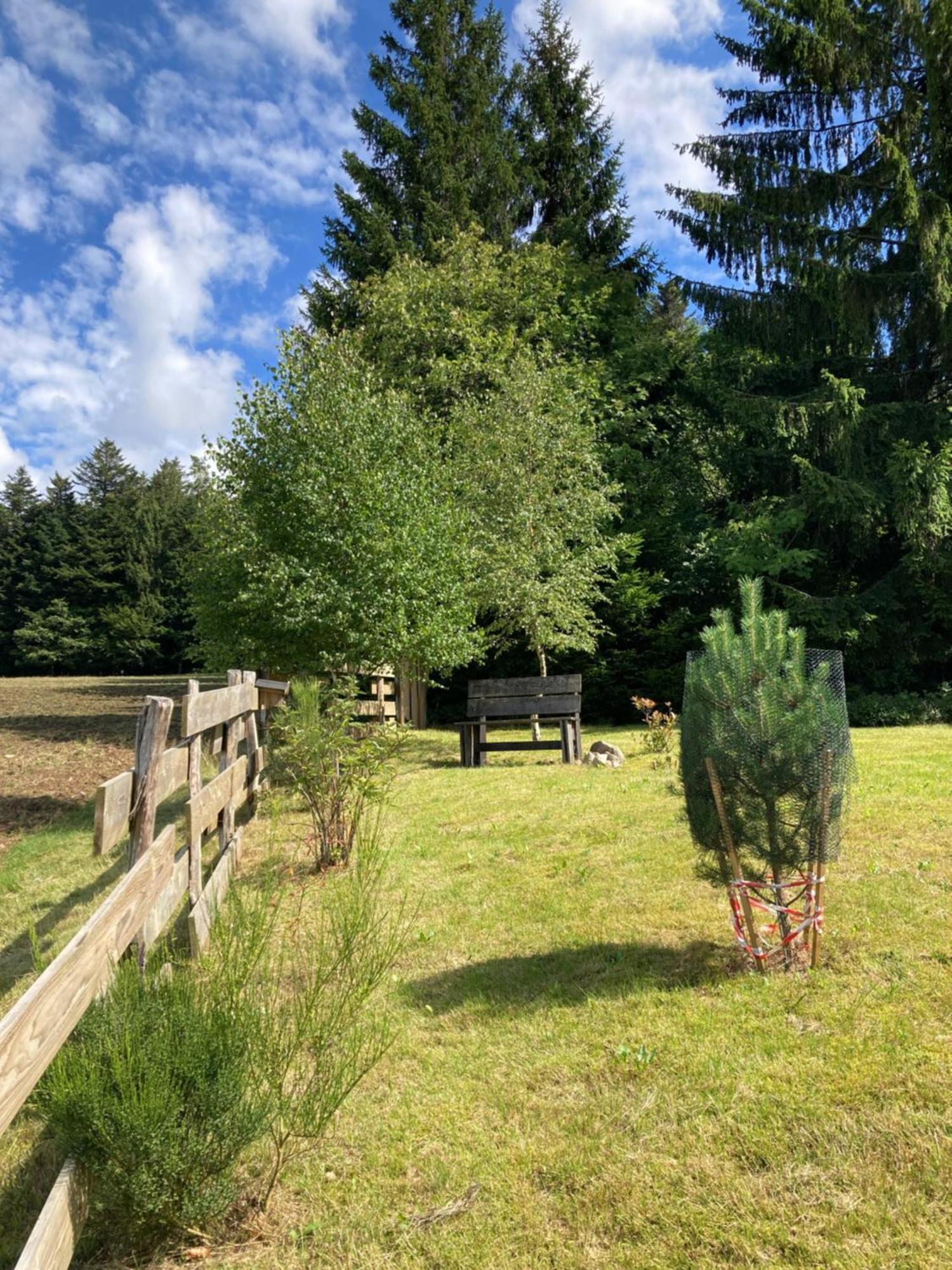 Chalet Chaleureux Avec Cheminee Et Vue Montagne Proche Gerardmer "Mon Beau Sapin" Villa Anould Dış mekan fotoğraf