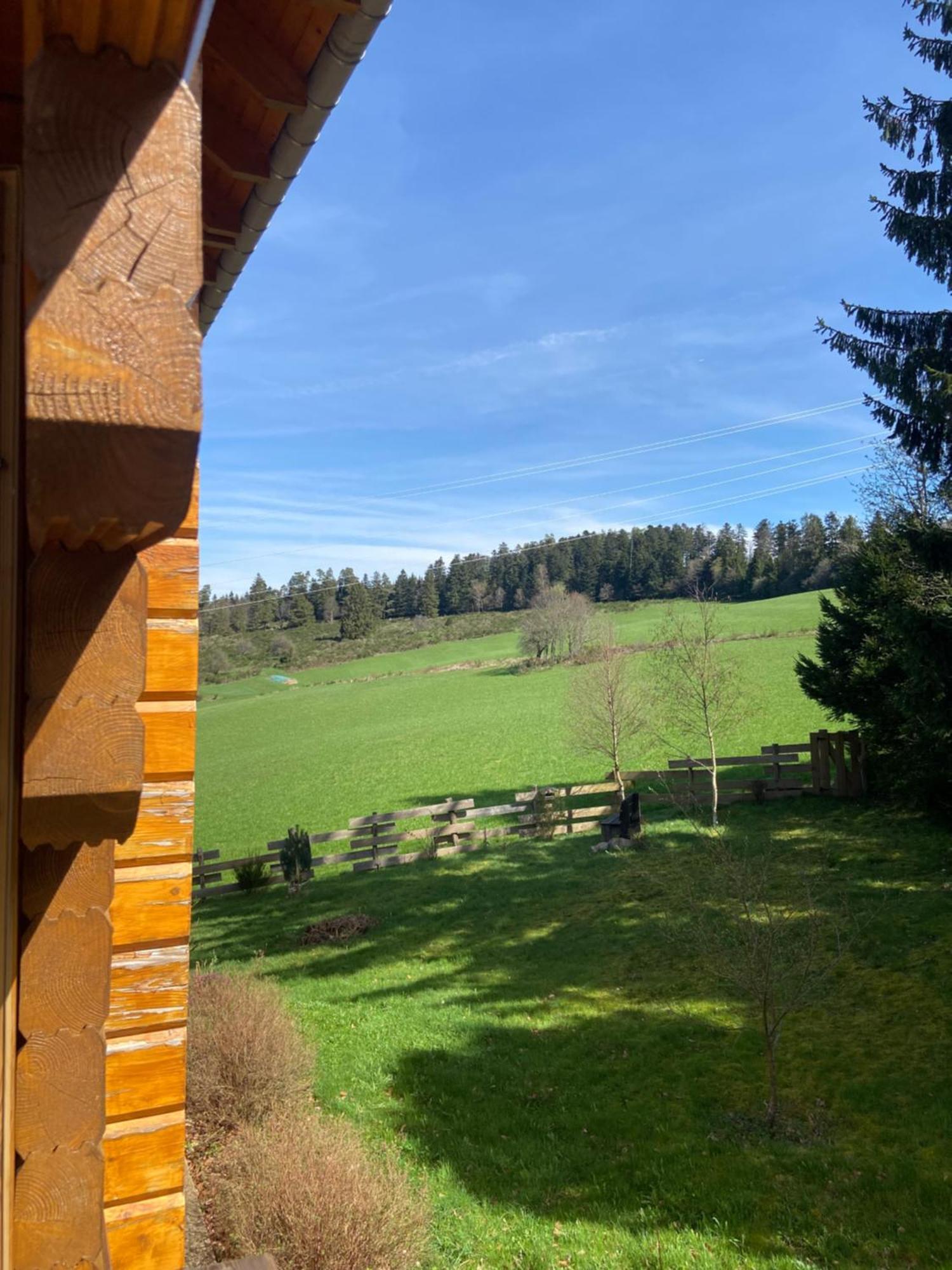 Chalet Chaleureux Avec Cheminee Et Vue Montagne Proche Gerardmer "Mon Beau Sapin" Villa Anould Dış mekan fotoğraf