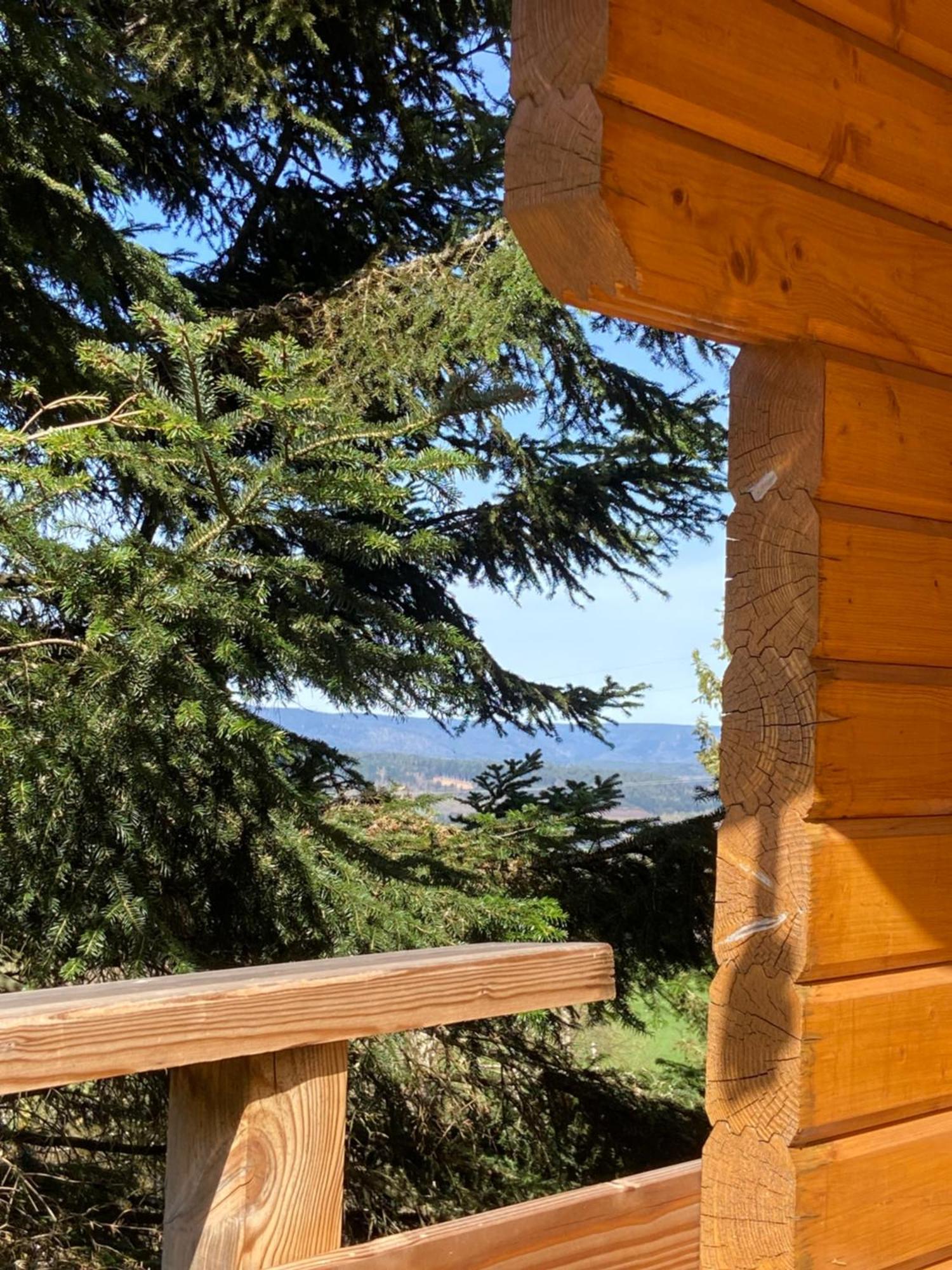 Chalet Chaleureux Avec Cheminee Et Vue Montagne Proche Gerardmer "Mon Beau Sapin" Villa Anould Dış mekan fotoğraf