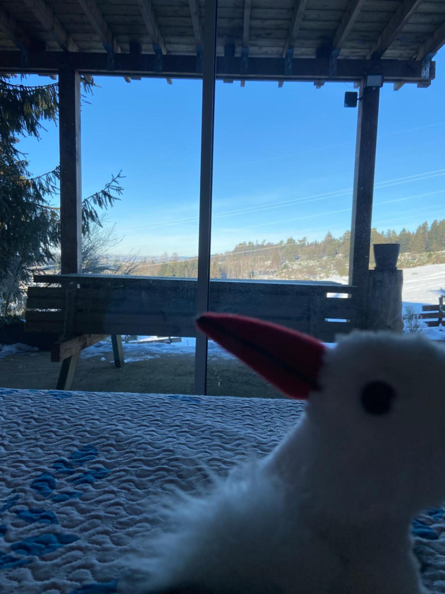 Chalet Chaleureux Avec Cheminee Et Vue Montagne Proche Gerardmer "Mon Beau Sapin" Villa Anould Dış mekan fotoğraf