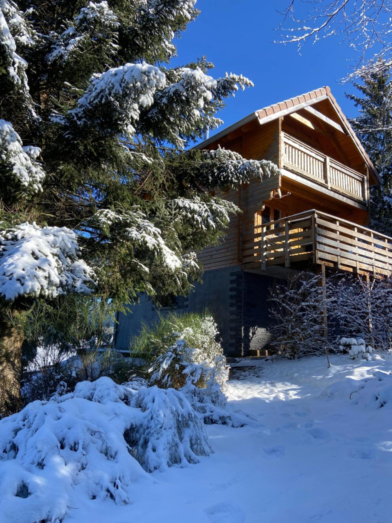 Chalet Authentique Au Calme, En Lisiere De Foret, Montagne, Sentiers 15Mn Gerardmer & Alsace "Chalet Mon Beau Sapin" Anould Dış mekan fotoğraf