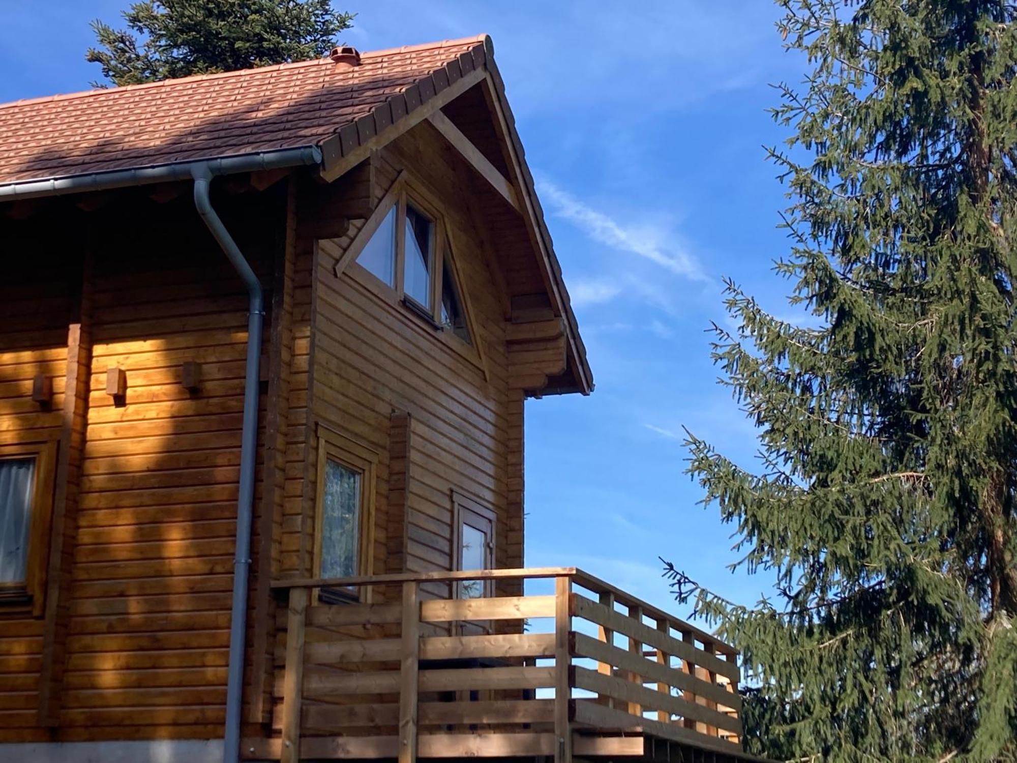 Chalet Authentique Au Calme, En Lisiere De Foret, Montagne, Sentiers 15Mn Gerardmer & Alsace "Chalet Mon Beau Sapin" Anould Dış mekan fotoğraf