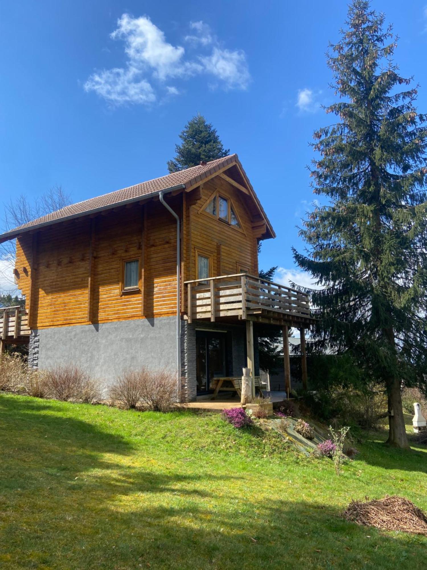 Chalet Authentique Au Calme, En Lisiere De Foret, Montagne, Sentiers 15Mn Gerardmer & Alsace "Chalet Mon Beau Sapin" Anould Dış mekan fotoğraf