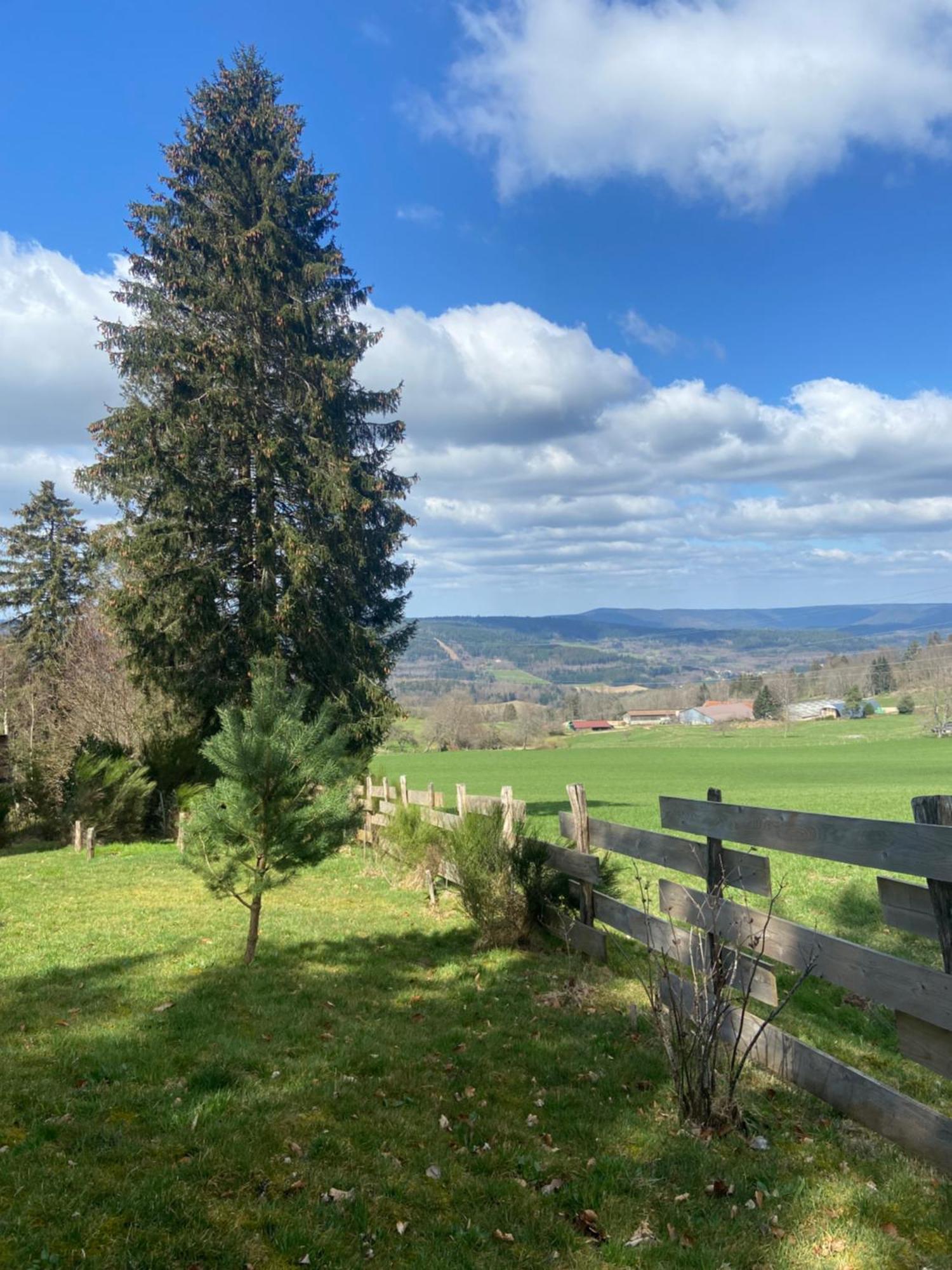 Chalet Authentique Au Calme, En Lisiere De Foret, Montagne, Sentiers 15Mn Gerardmer & Alsace "Chalet Mon Beau Sapin" Anould Dış mekan fotoğraf