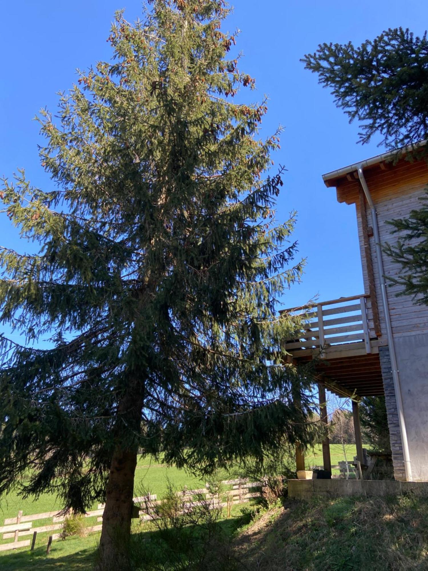 Chalet Authentique Au Calme, En Lisiere De Foret, Montagne, Sentiers 15Mn Gerardmer & Alsace "Chalet Mon Beau Sapin" Anould Dış mekan fotoğraf