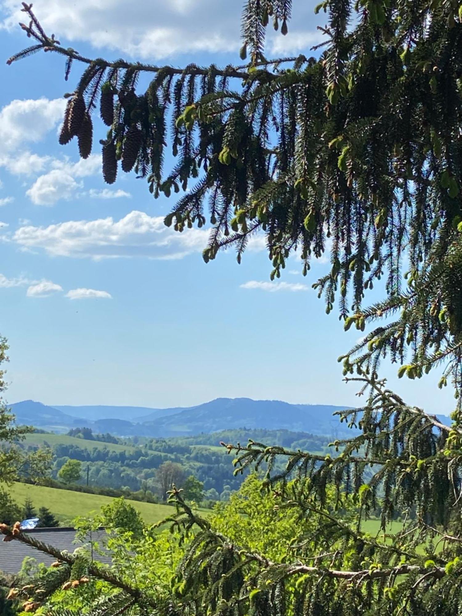 Chalet Authentique Au Calme, En Lisiere De Foret, Montagne, Sentiers 15Mn Gerardmer & Alsace "Chalet Mon Beau Sapin" Anould Dış mekan fotoğraf