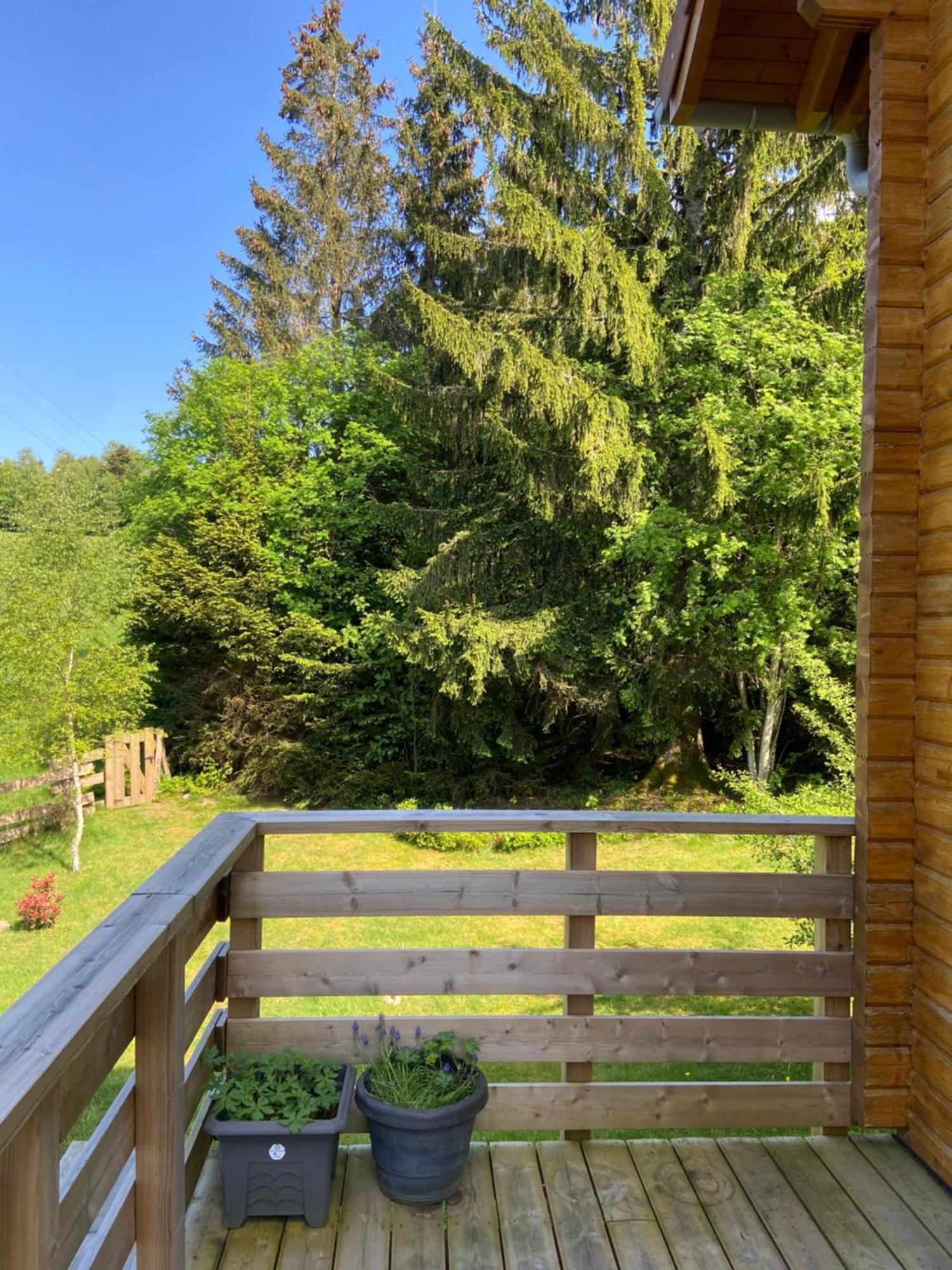 Chalet Authentique Au Calme, En Lisiere De Foret, Montagne, Sentiers 15Mn Gerardmer & Alsace "Chalet Mon Beau Sapin" Anould Dış mekan fotoğraf